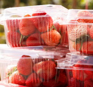 shutterstock 330340475