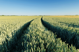 agri2