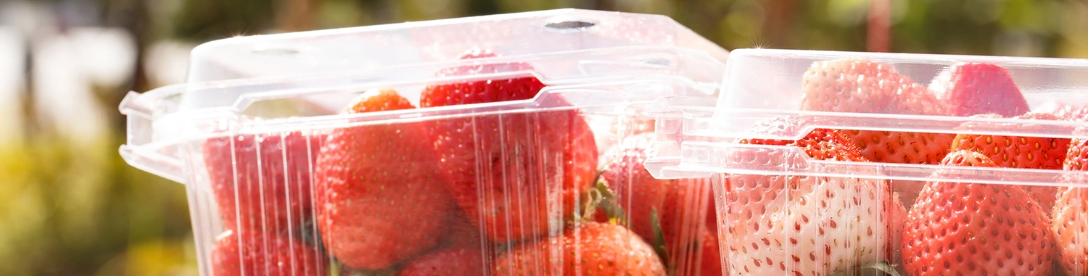 FOOD & BEVERAGE PROCESSING AND FOOD PACKAGING
